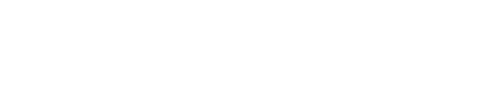 Pisano Industries
